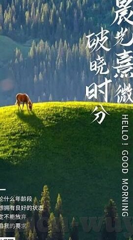 果冻传媒麻豆李琼视频-透视果冻传媒与李琼视频，现代传媒视野下的艺术与探索