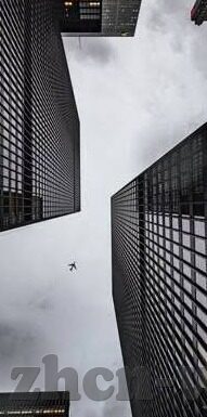 伦理美国-伦理在美国，文化、法律与社会的交织