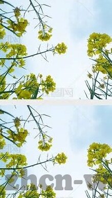糖心app动态怎么保存-高效掌握，糖心app动态保存大法