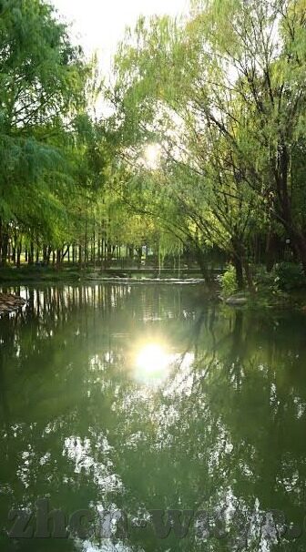 糖心app苹果手机-苹果手机新宠，糖心APP的独特魅力探索之旅