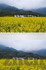 糖心vlog激活码购买-话题前沿，探寻糖心Vlog激活码的购得之道